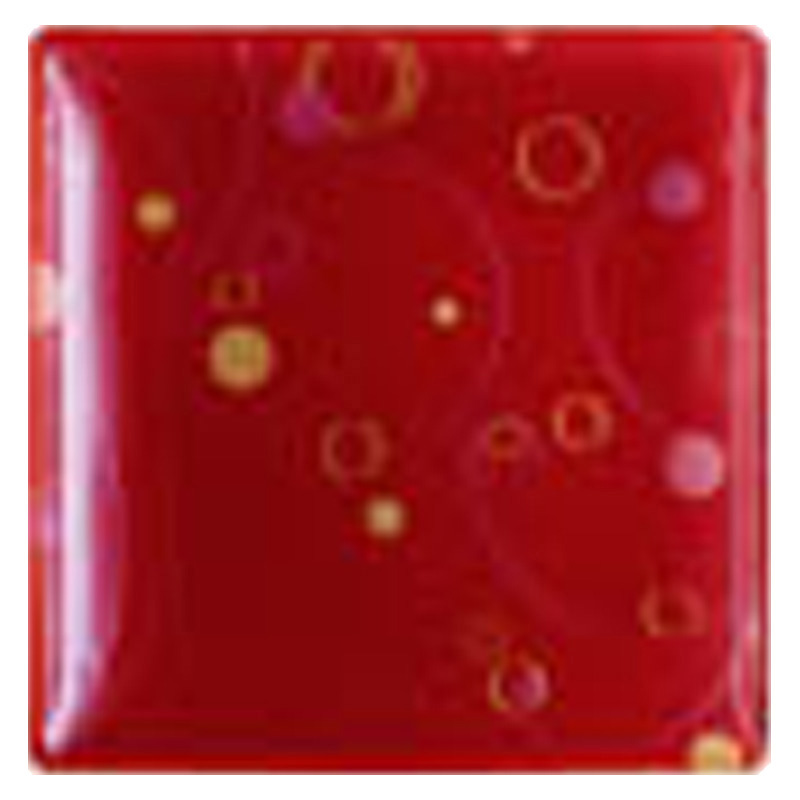 星燦紅方盤(強化) 18.5cm