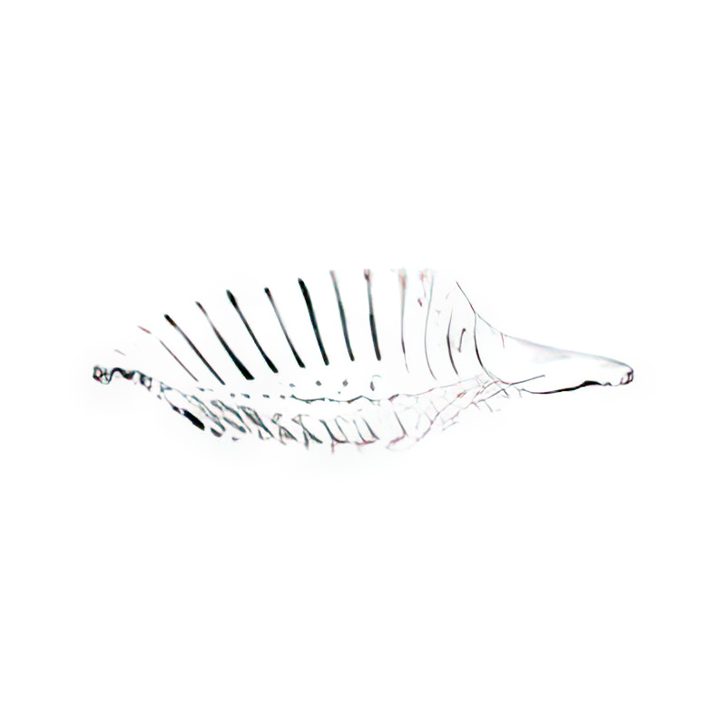 Arcoroc Crystal 葉型小菜盤 16cm